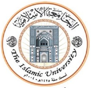 Исламский университетский колледж в Наджафе