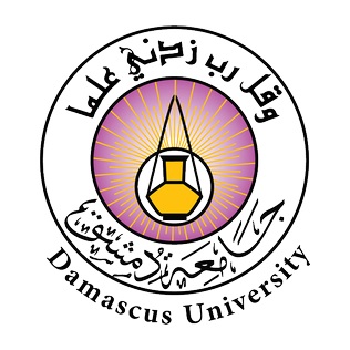 Дамасский университет